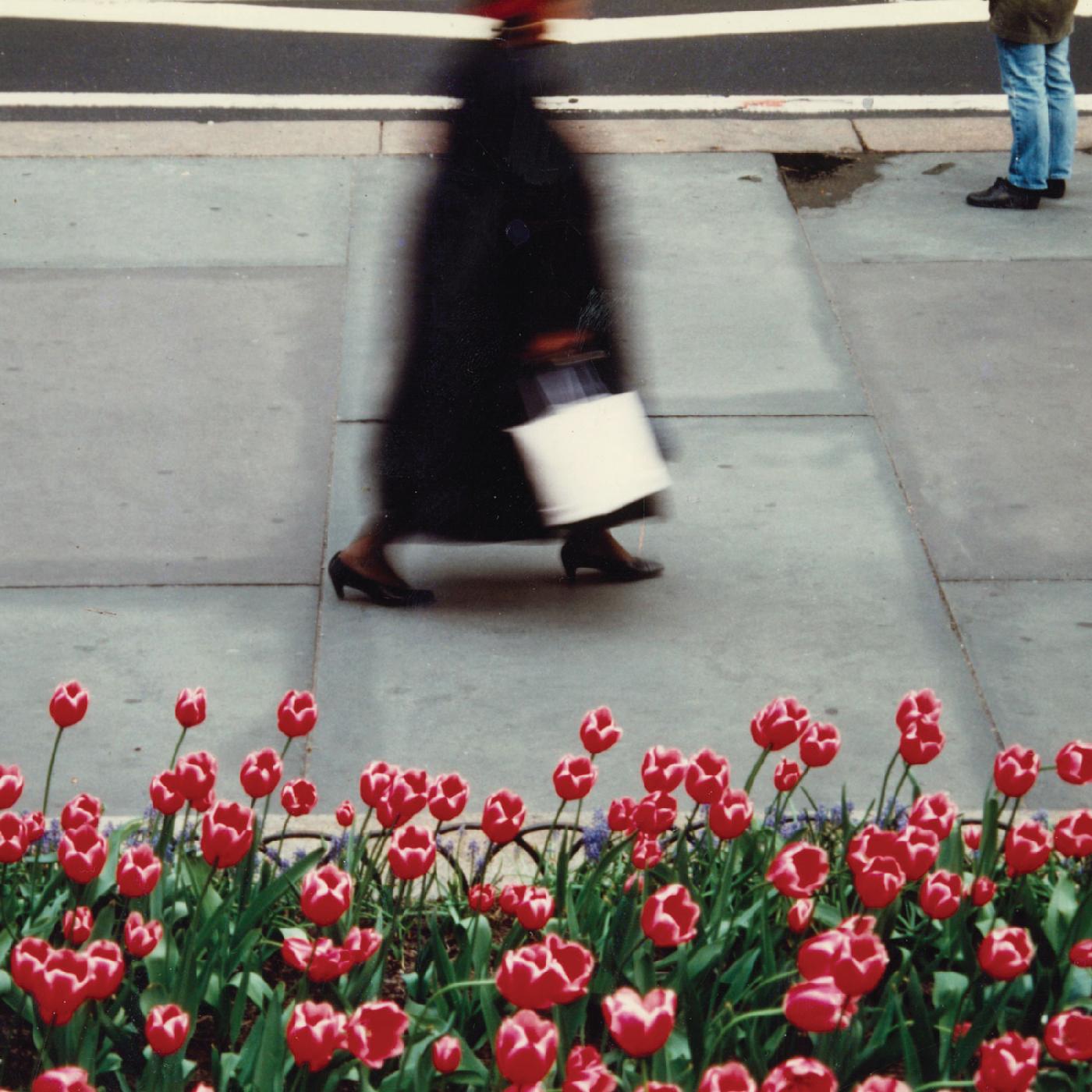 Air Waves - The Dance (Vinyl) - Joco Records