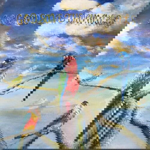 Alex G - God Save The Animals (Limited Edition, Indie Exclusive, Clear Vinyl) (LP) - Joco Records