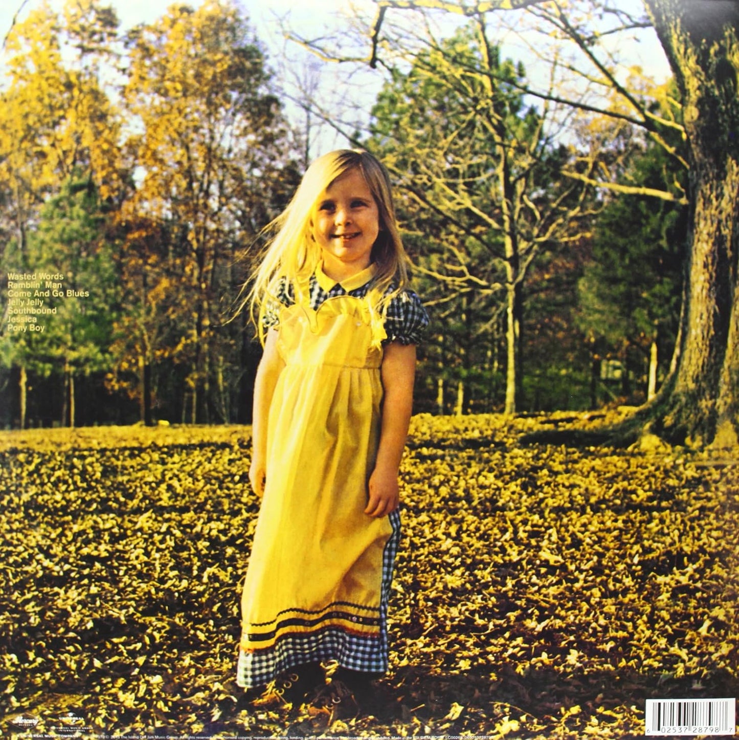 Allman Brothers Band - Brothers And Sisters (Gatefold, Remastered) (LP) - Joco Records