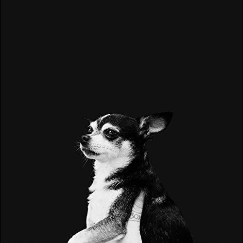 And The Kids - When This Life Is Over (Vinyl) - Joco Records