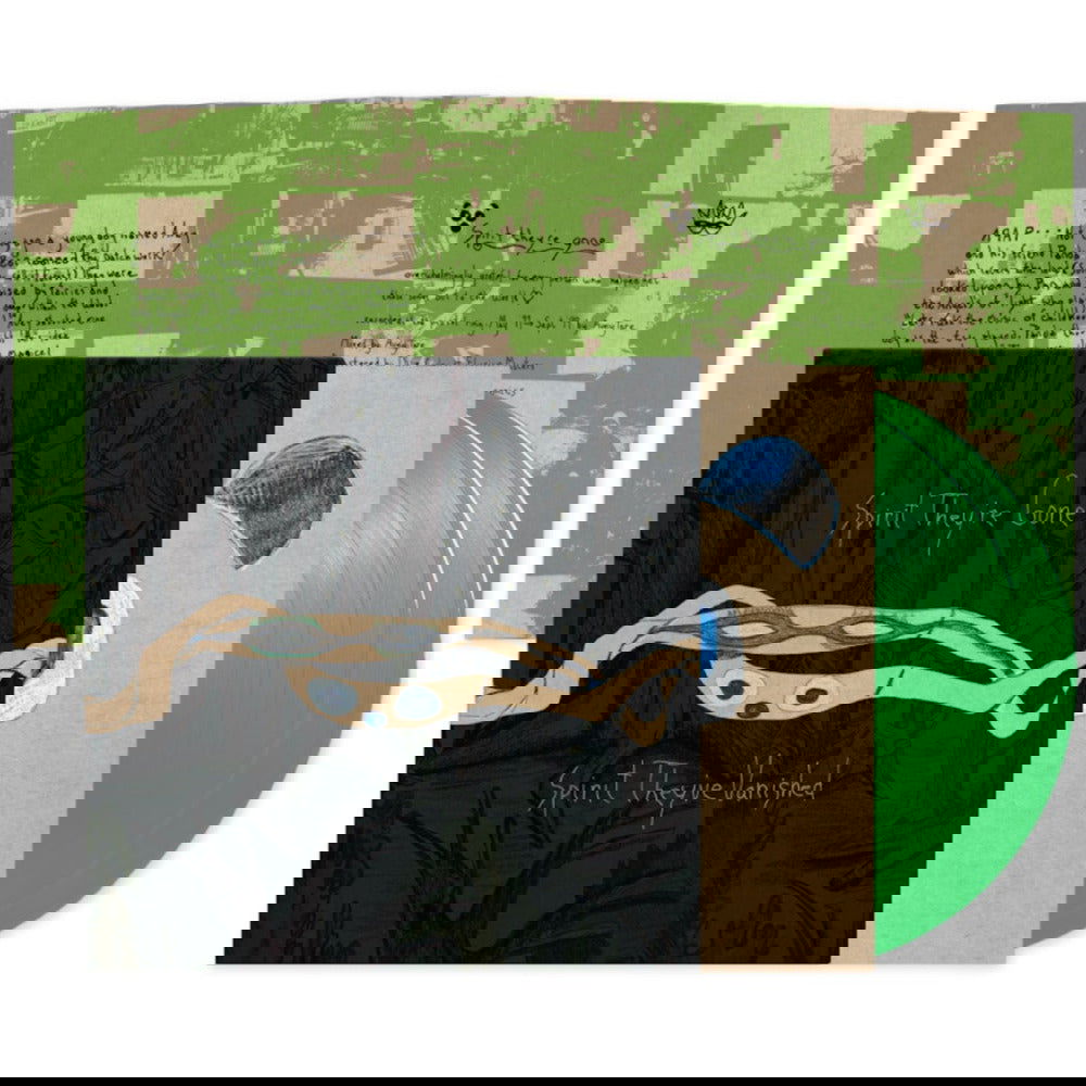 Animal Collective - Spirit They're Gone, Spirit They've Vanished (Indie Exclusive, Remastered, Green Vinyl) (LP) - Joco Records