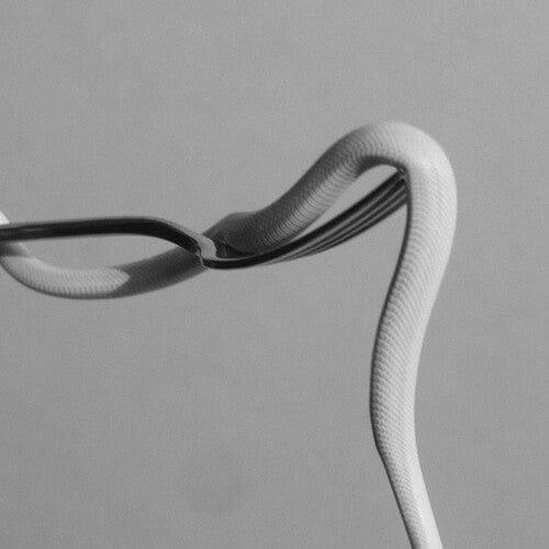 Animals As Leaders - Parrhesia (Neon Orange) (Indie Exclusive) (Vinyl) - Joco Records