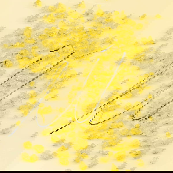 Anni Kiviniemi Trio - Eir (Vinyl) - Joco Records