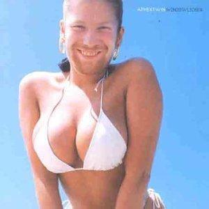 Aphex Twin - Windowlicker (Vinyl) - Joco Records