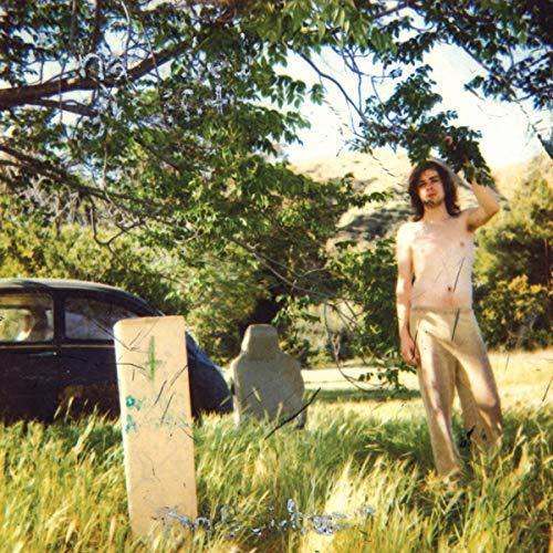 Ariel Pink - The Doldrums (2 LP) (Remastered) - Joco Records