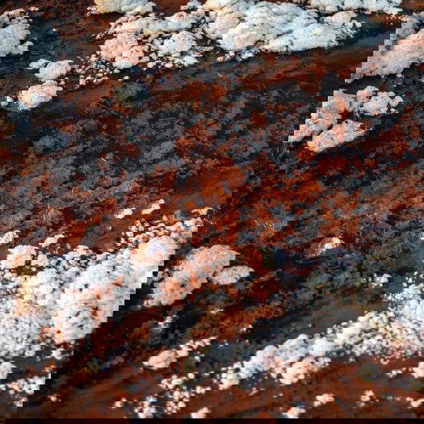 Ariwo - Quasi (Vinyl) - Joco Records