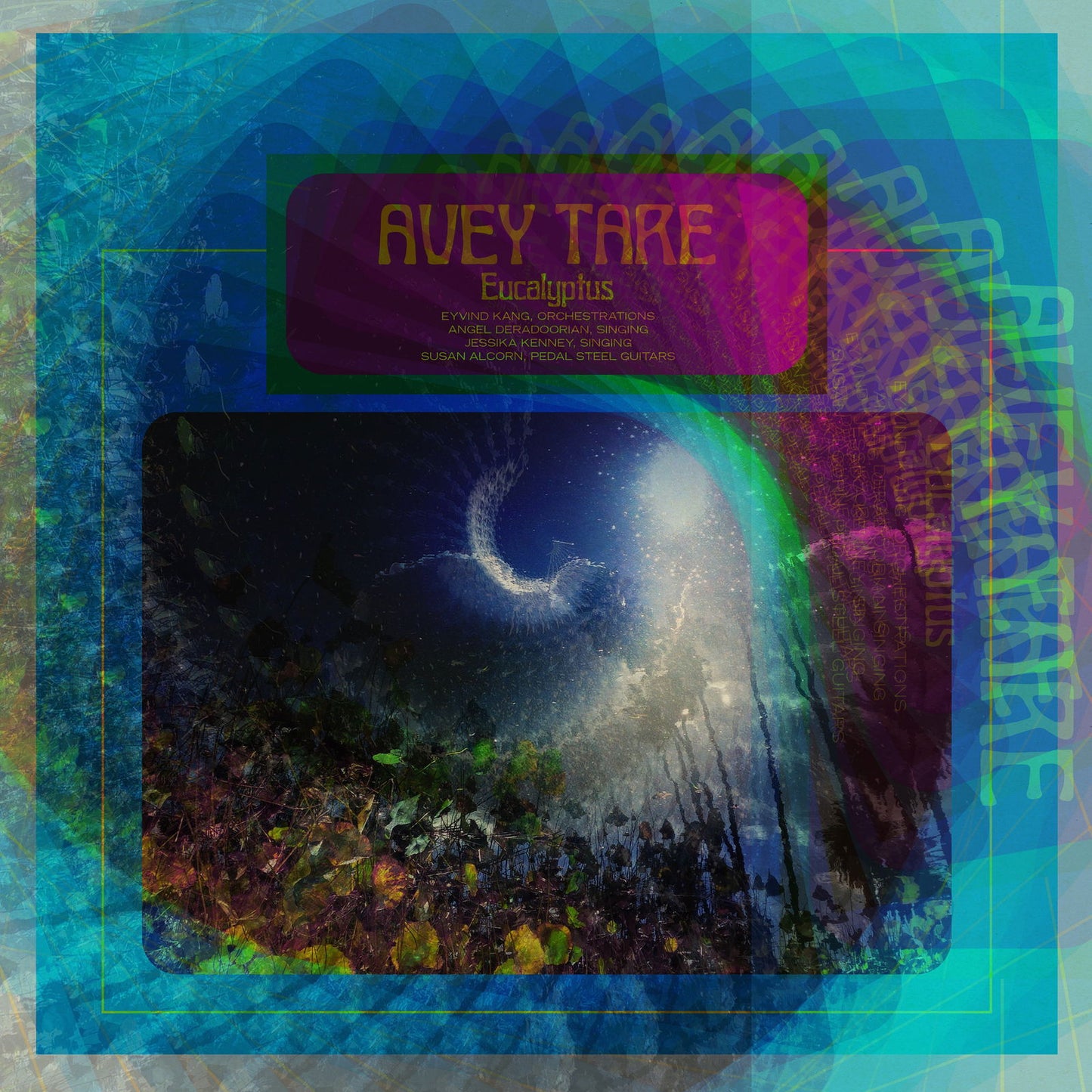 Avey Tare - Eucalyptus (Vinyl) - Joco Records