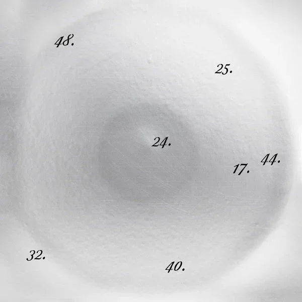 Big'N - Discipline Through Sound 25 (Vinyl) - Joco Records