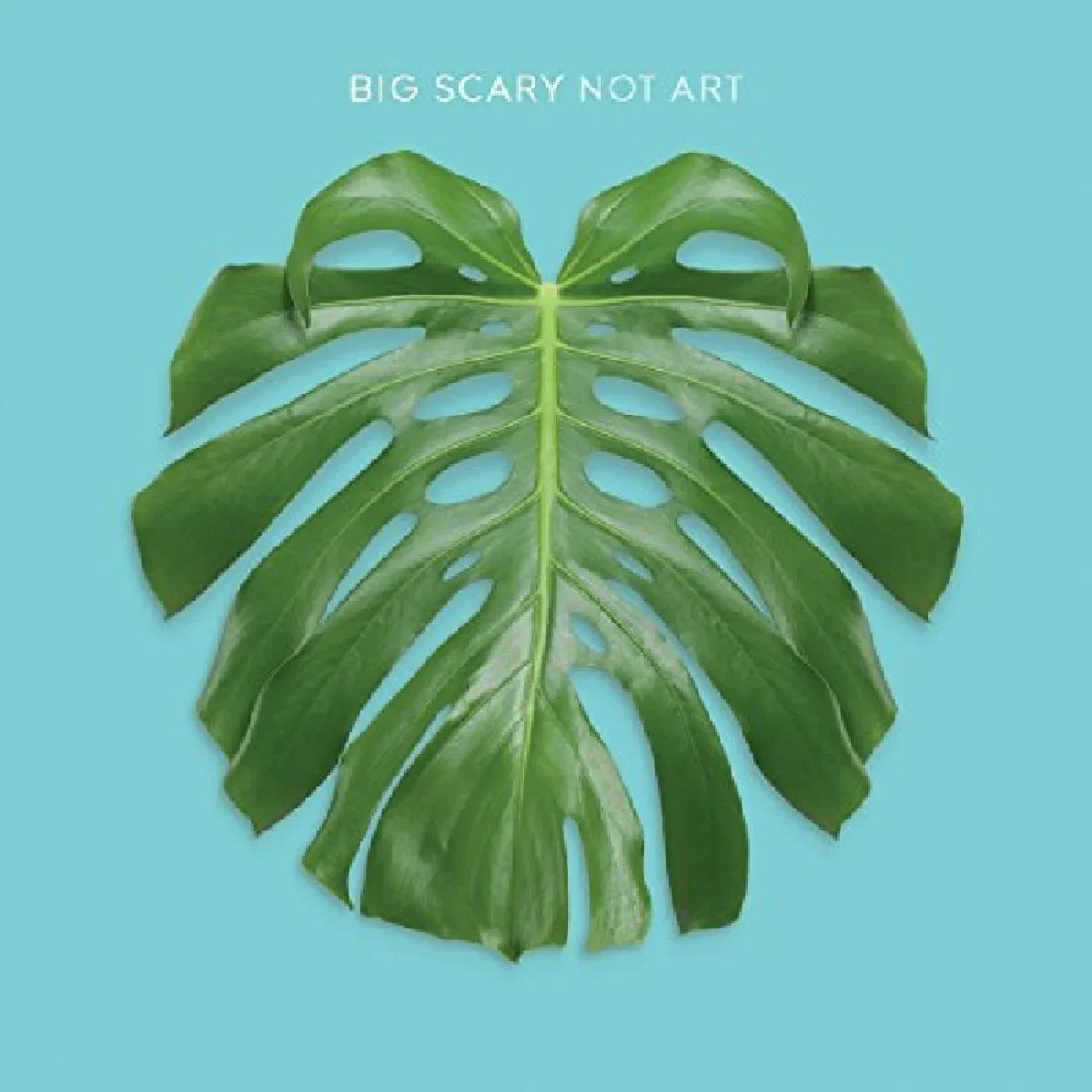 Big Scary - Not Art (Vinyl) - Joco Records