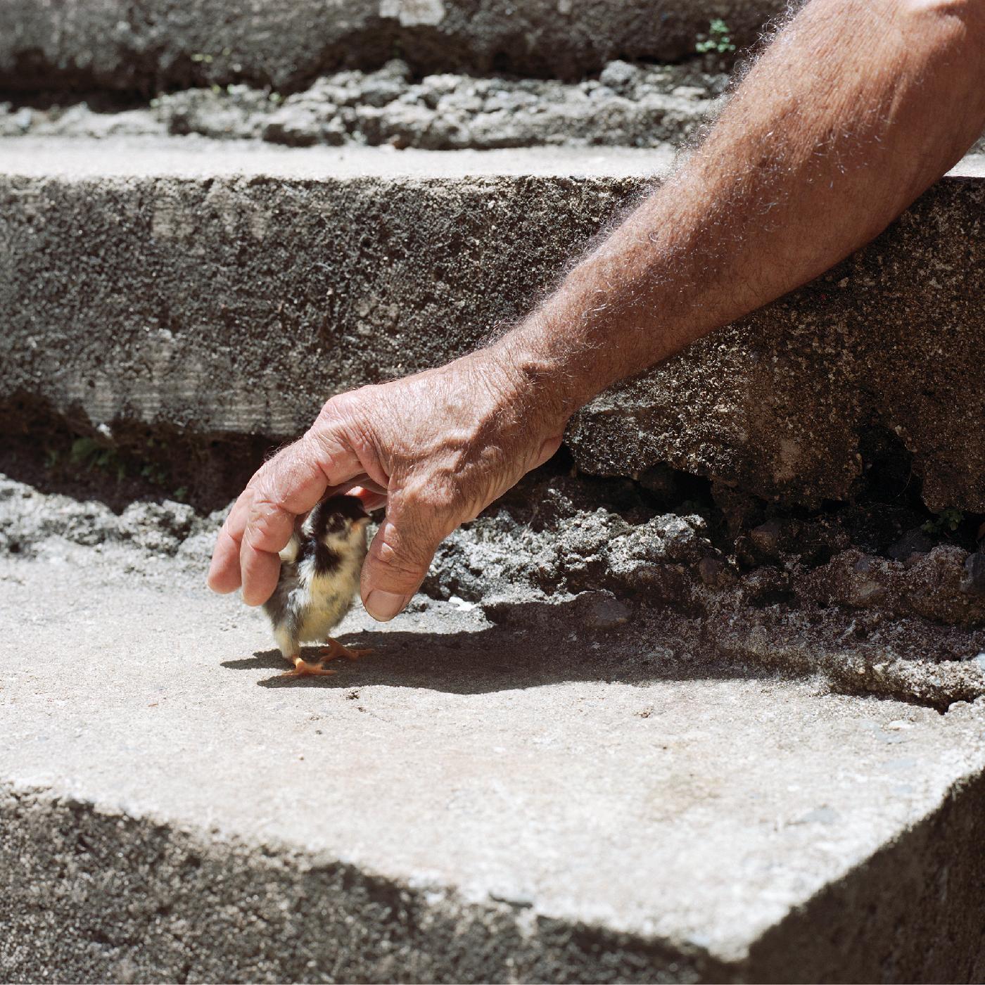 Big Thief - Mythological Beauty (Vinyl) - Joco Records