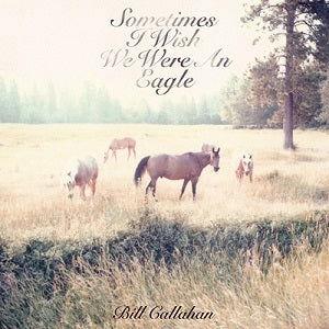Bill Callahan - Sometimes I Wish We Were an Eagle (Vinyl) - Joco Records