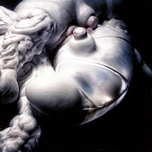 Bjork - Arisen My Senses (Vinyl) - Joco Records