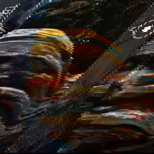 Bjork - Bastards (2 LP) - Joco Records