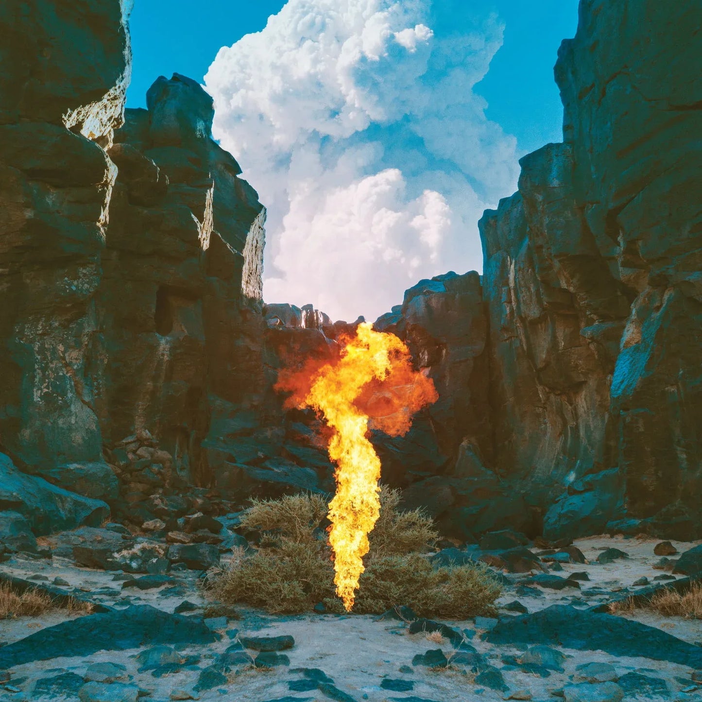 Bonobo - Migration (Vinyl) - Joco Records