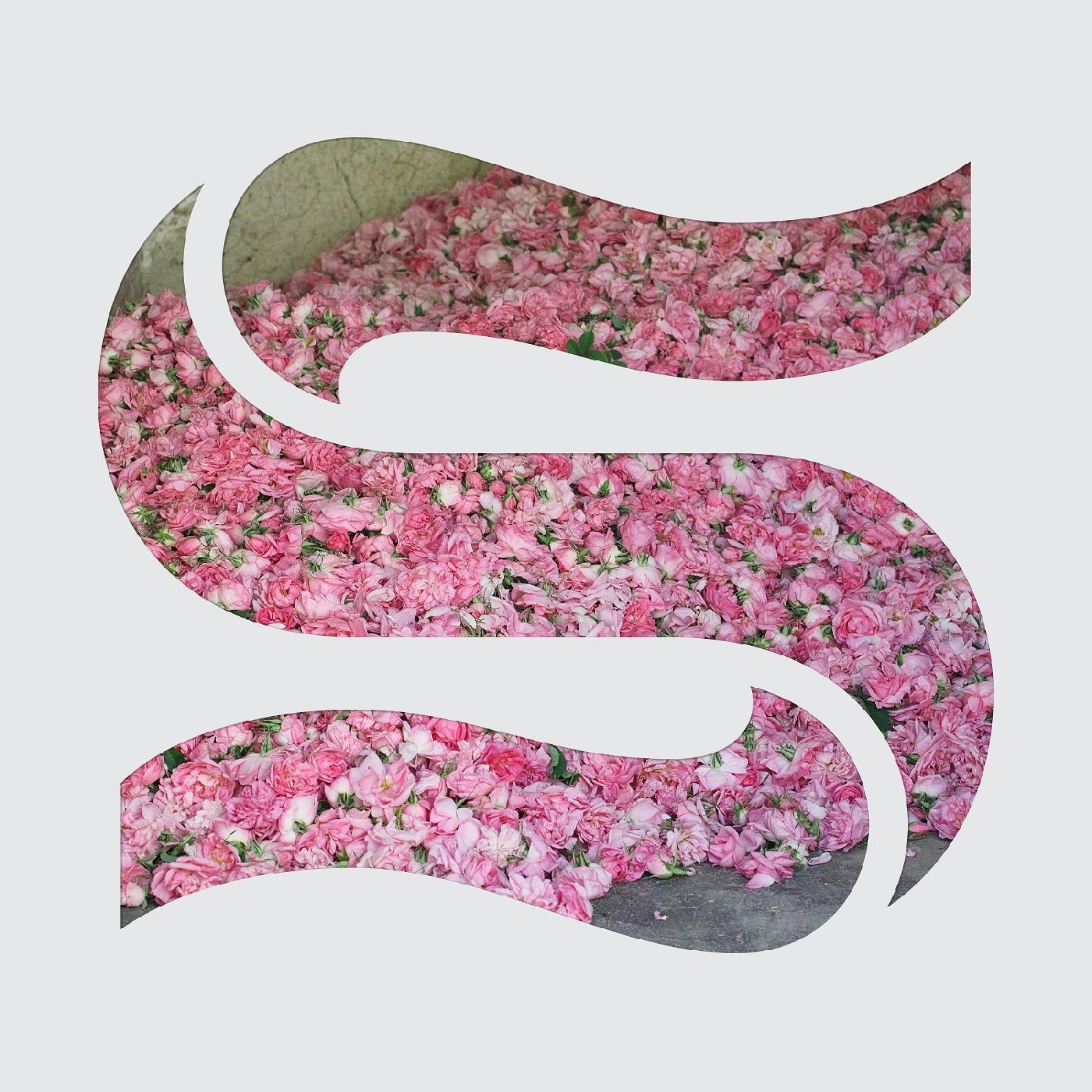 Braxe + Falcon - Step By Step Ep (Vinyl) - Joco Records