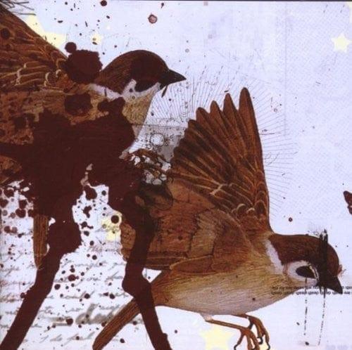 Bring Me the Horizon - This Is What the Edge of Your Seat Was Made for (Import) (Vinyl) - Joco Records