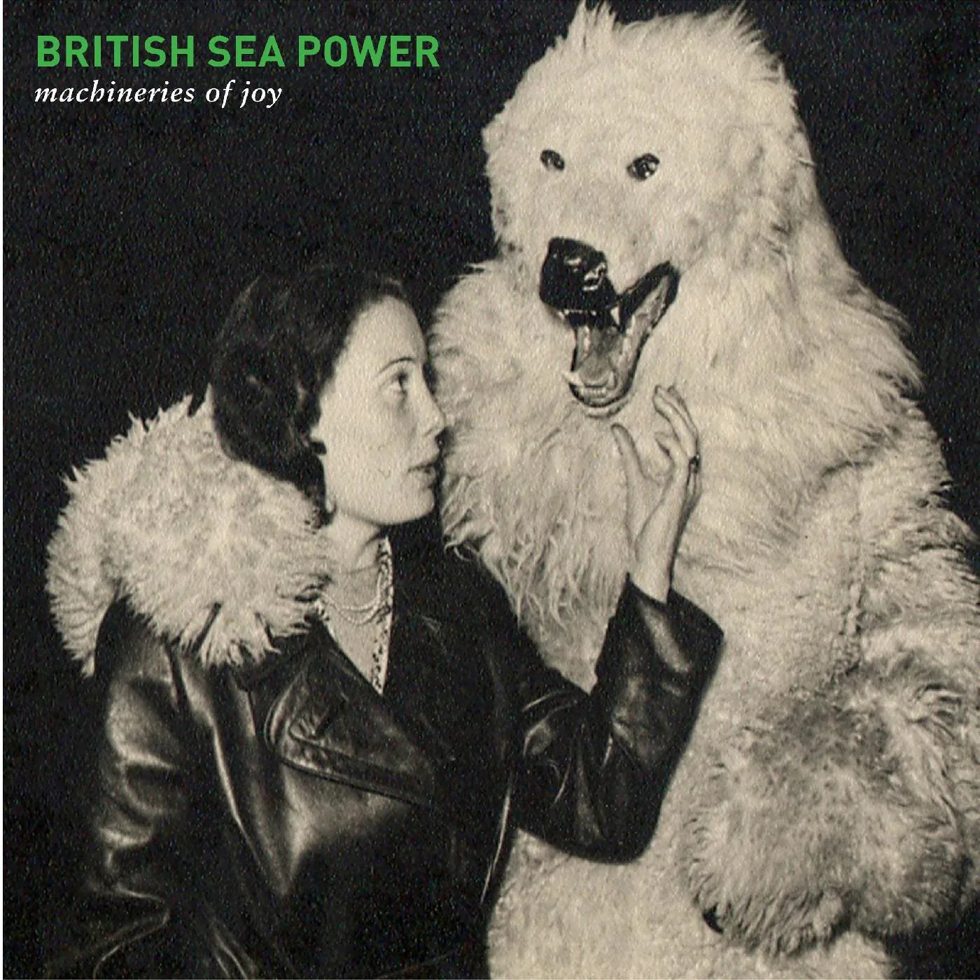 British Sea Power - Machineries Of Joy (Vinyl) - Joco Records