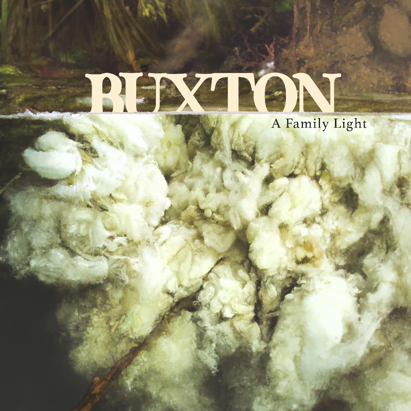Buxton - A Family Light (Clear Frosted Glass Vinyl) - Joco Records