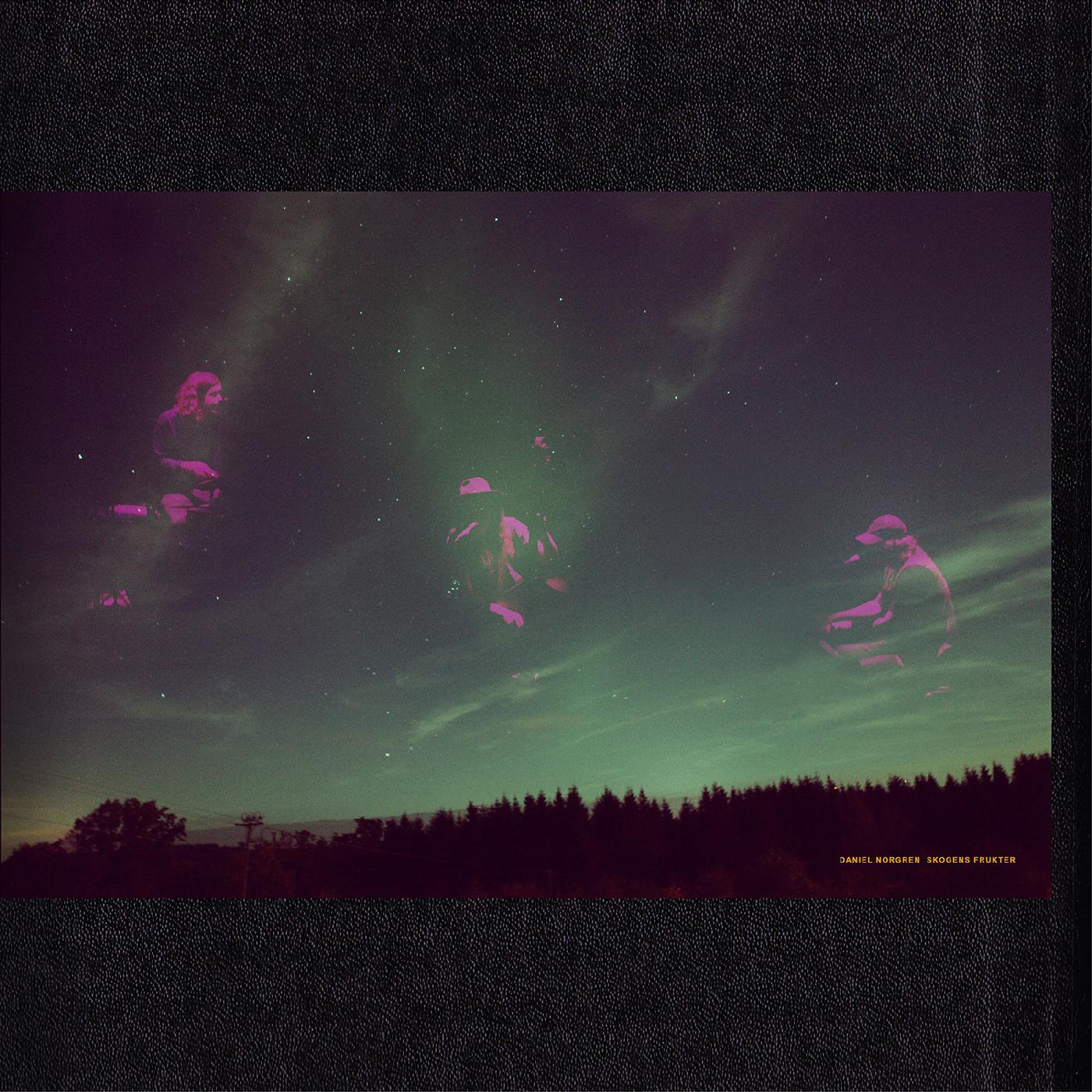 Daniel Norgren - Skogens Frukter (Vinyl) - Joco Records