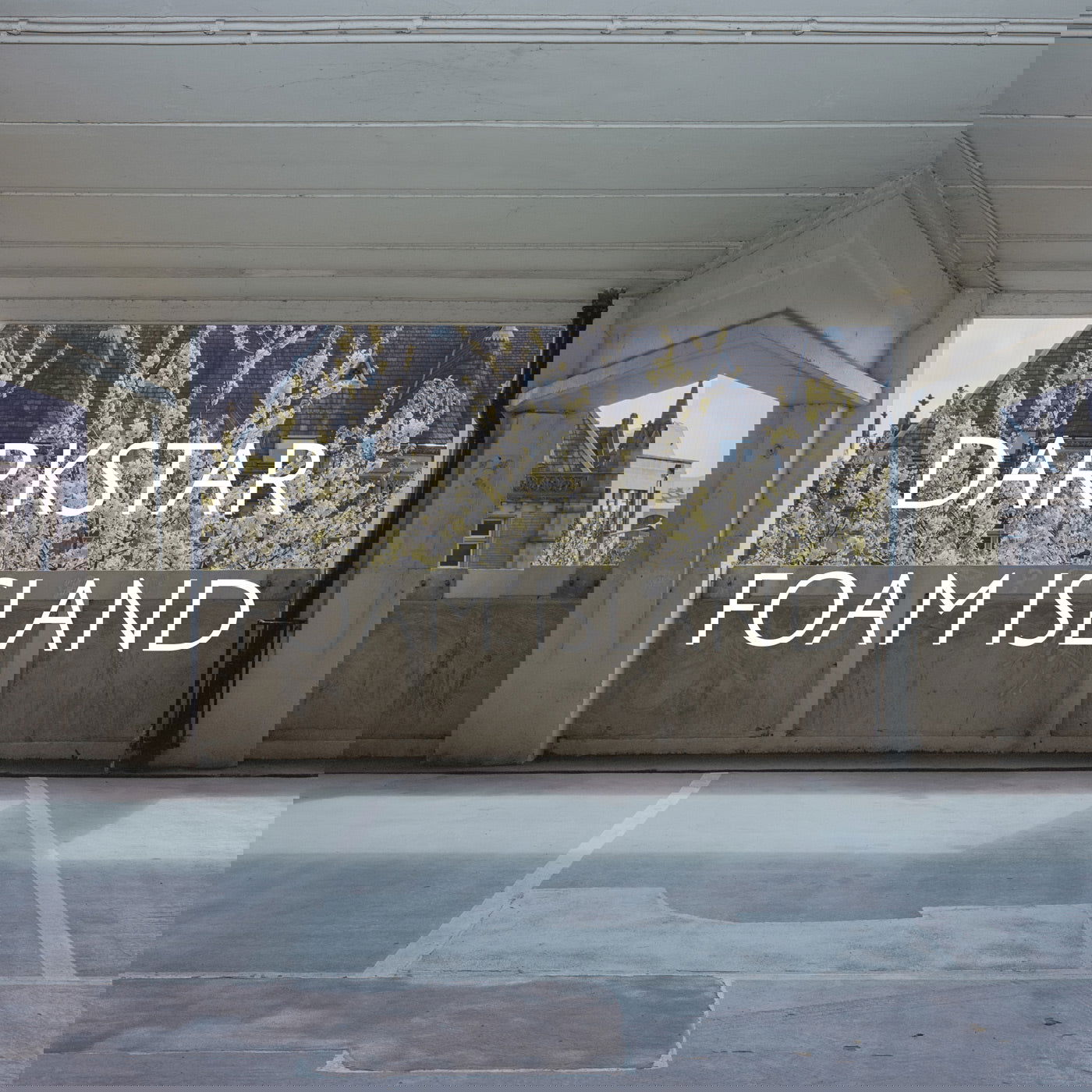 Darkstar - Foam Island (Vinyl) - Joco Records