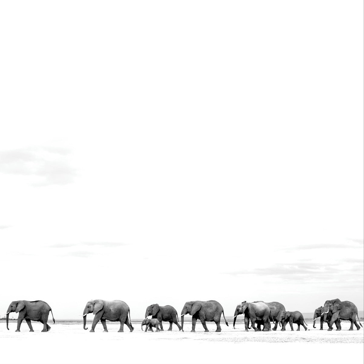 Dave Matthews Band - Where Are You Going: The Singles (2 LP) - Joco Records