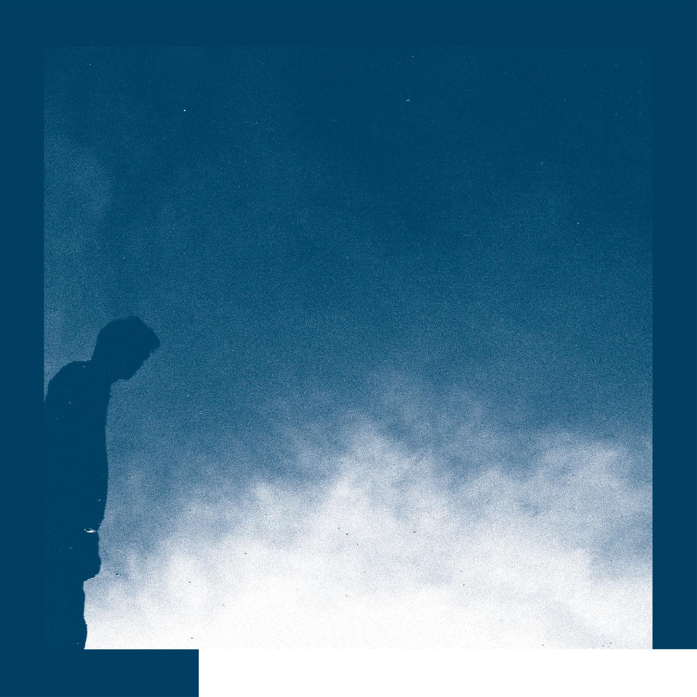 David Allred - The Transition (Vinyl) - Joco Records