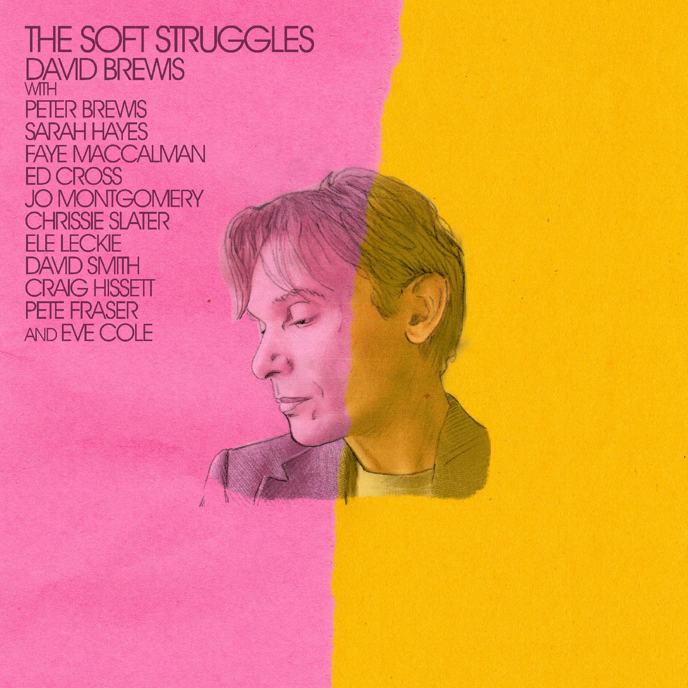 David Brewis - The Soft Struggles (Vinyl) - Joco Records