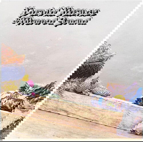 David Nance - & Mowed Sound (Indie Exclusive, Green Vinyl) (LP) - Joco Records