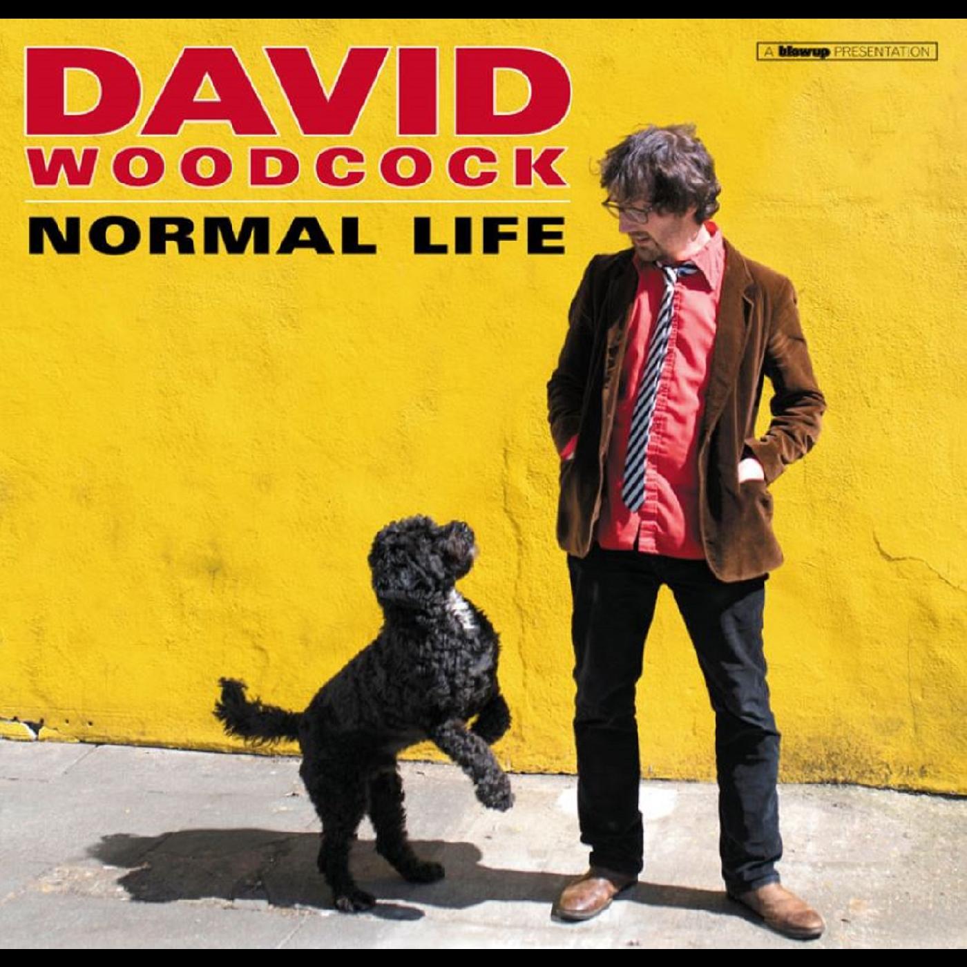 David Woodcock - Normal Life (Vinyl) - Joco Records