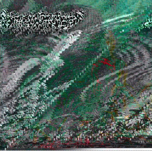 Decapitated - Nihility (Limited Edition, Reissue) (Vinyl) - Joco Records