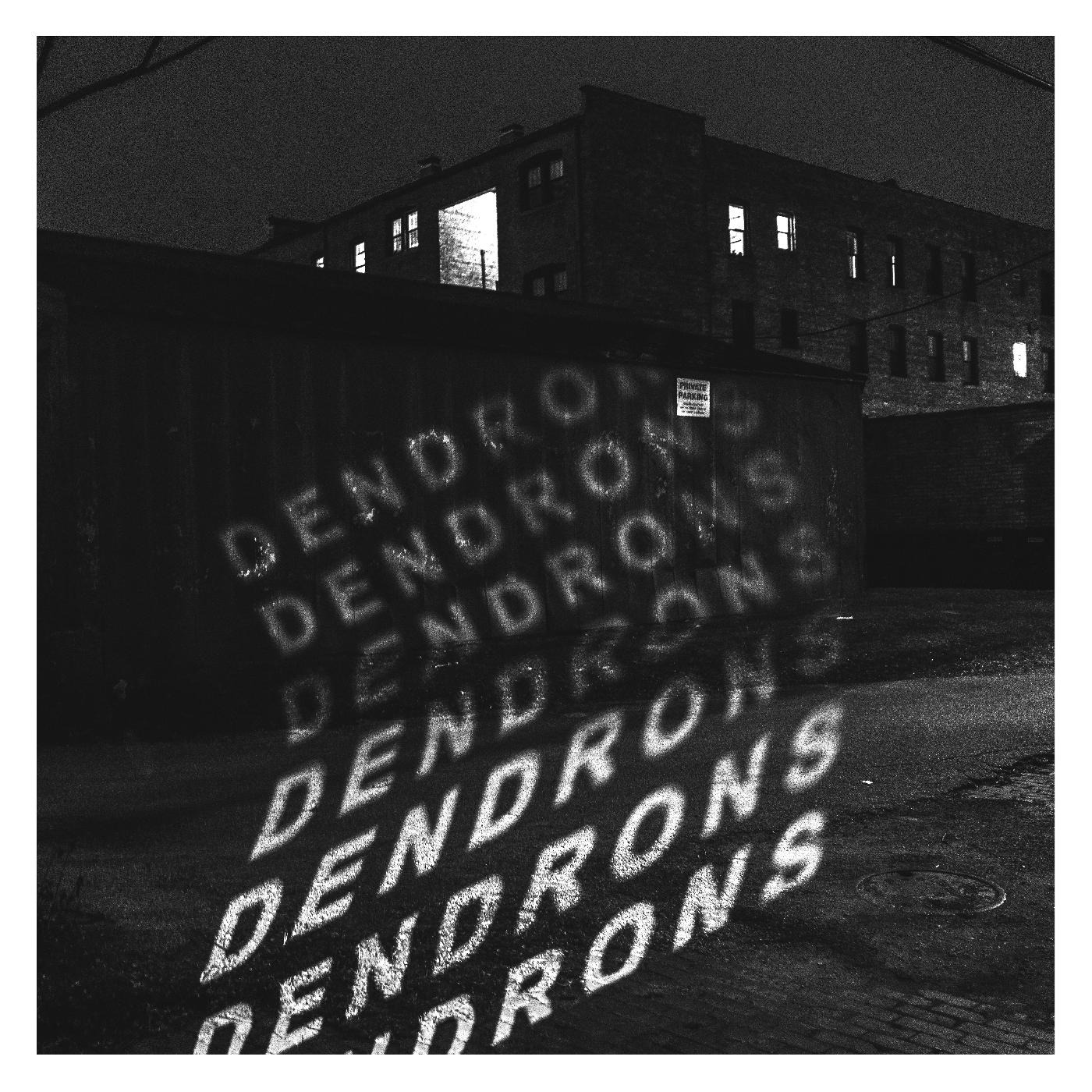 Dendrons - Dendrons (Red & Black Opaque Galaxy Vinyl) - Joco Records