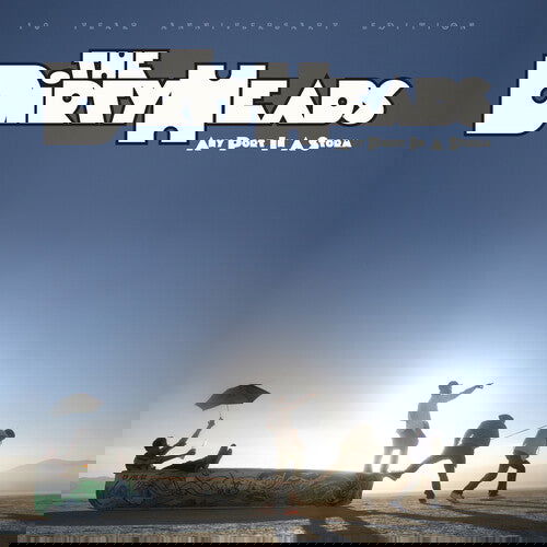 Dirty Heads - Any Port In A Storm (Explicit Content) (2 LP) - Joco Records