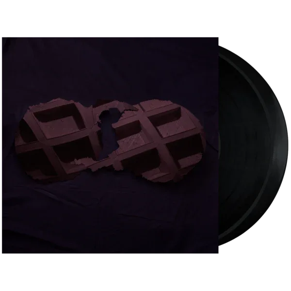 Dirty Projectors - Dirty Projectors (2 LP) - Joco Records