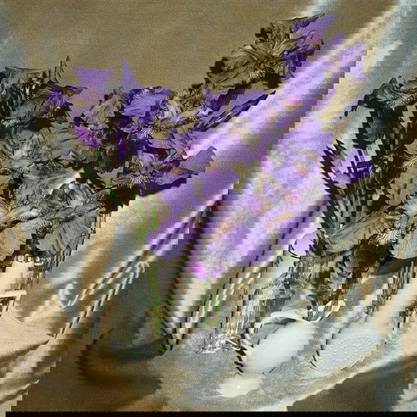 Dives - Wanna Take You There (White Vinyl) - Joco Records