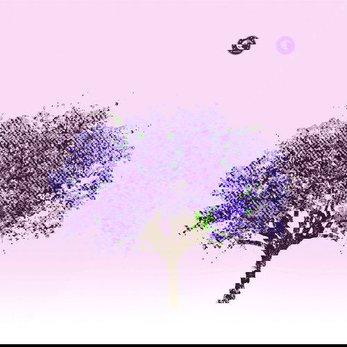 Eels - Tomorrow Morning (Limited Edition) (Vinyl) - Joco Records