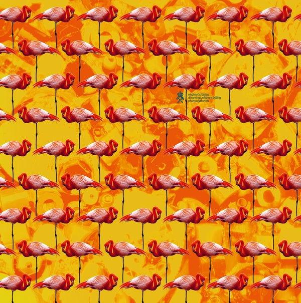 Elephant Chateau - Dreamings & Offshore Drilling - Pearls And Turtles (Vinyl) - Joco Records