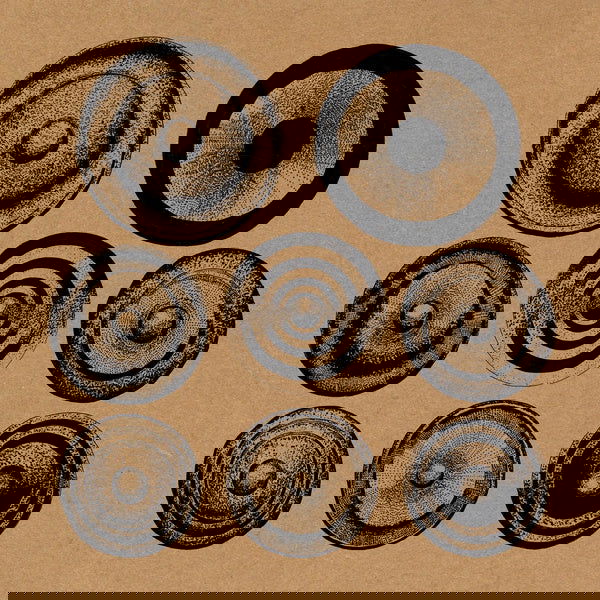 Ensemble Nist-Nah - Elders (Vinyl) - Joco Records