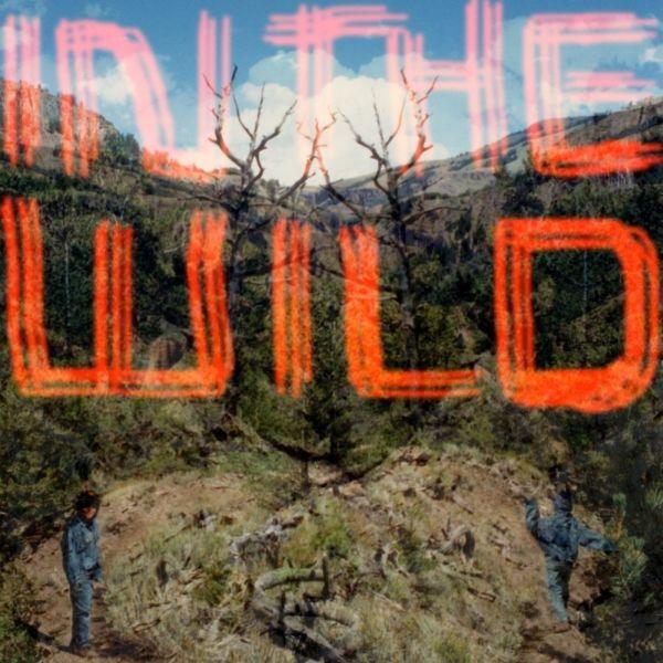Faltydl - In The Wild (Vinyl) - Joco Records