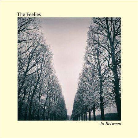 Feelies - In Between (LP) - Joco Records