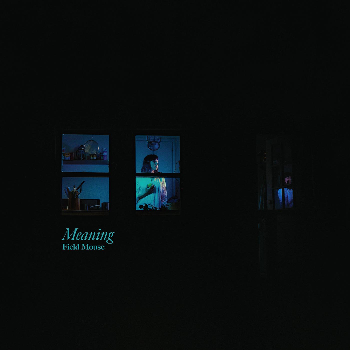 Field Mouse - Meaning (Vinyl) - Joco Records