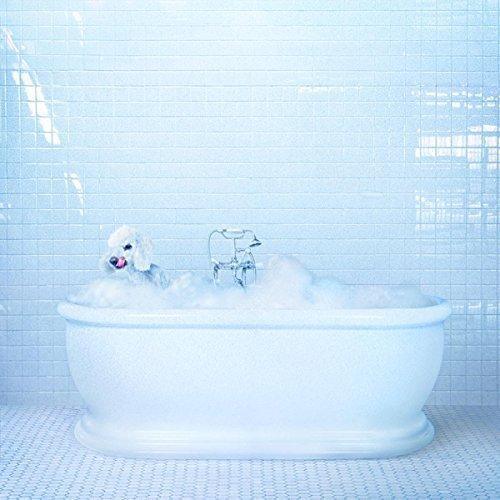 Frankie Cosmos - Vessel (Vinyl) - Joco Records