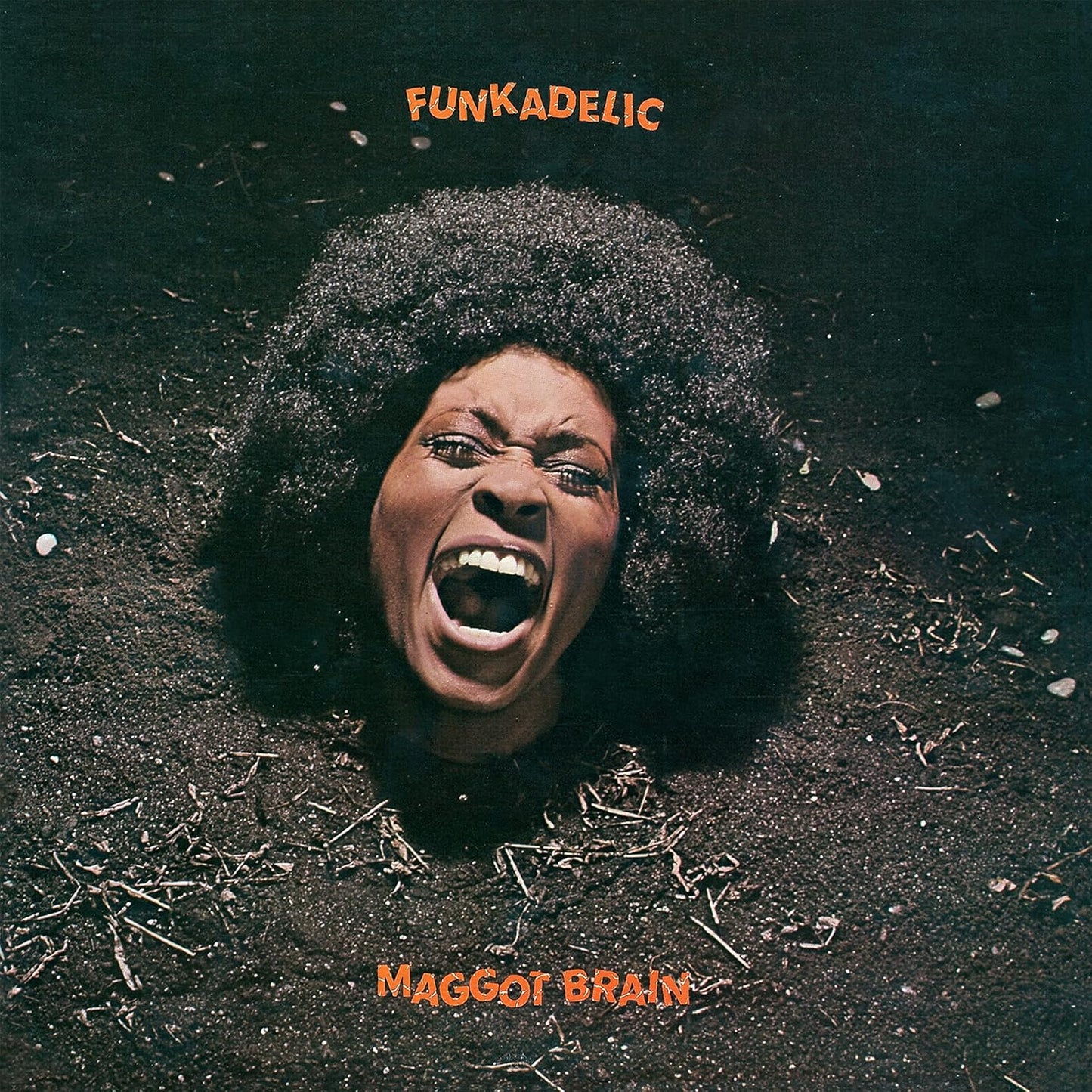 Funkadelic - Maggot Brain: 50th Anniversary Edition (2 LP) - Joco Records