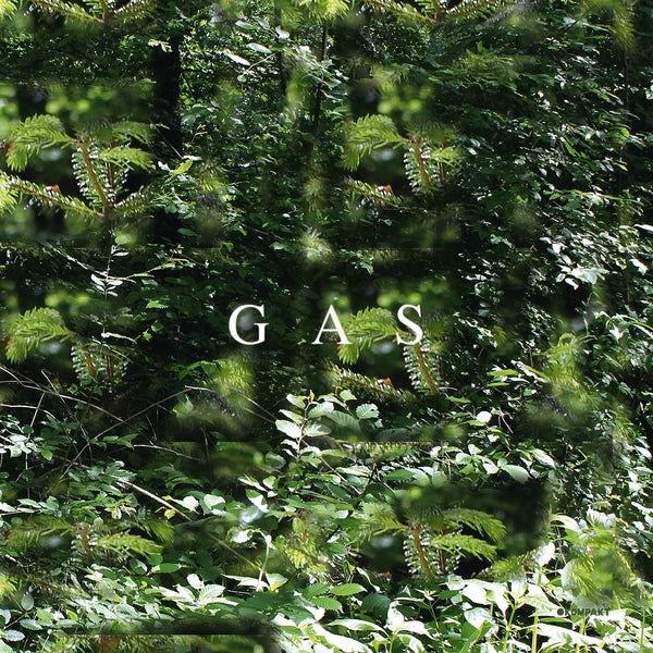 Gas - Der Lange Marsch (Vinyl) - Joco Records