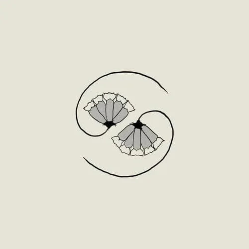 Godspeed You Black Emperor - G D's Pee At State's End! (Incl. 10") (Vinyl) - Joco Records