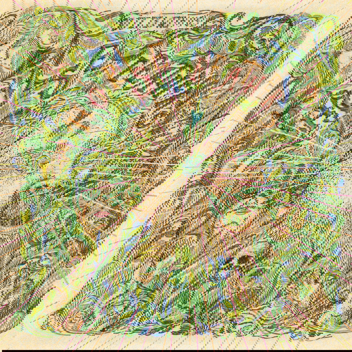 Horse Feathers - So It Is With Us (Vinyl) - Joco Records