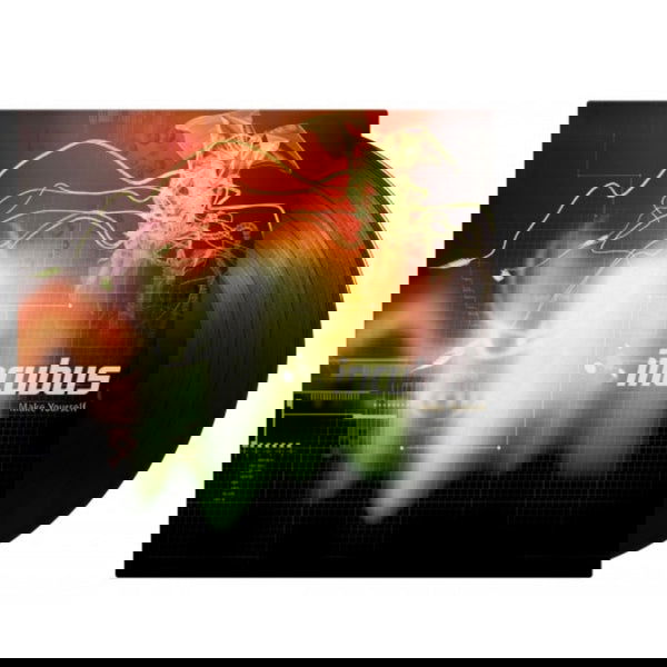 Incubus - Make Yourself (Gatefold, 180 Gram) (2 LP) - Joco Records