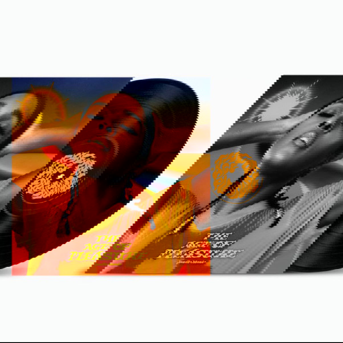 Janelle Monáe - The Age of Pleasure (LP) - Joco Records