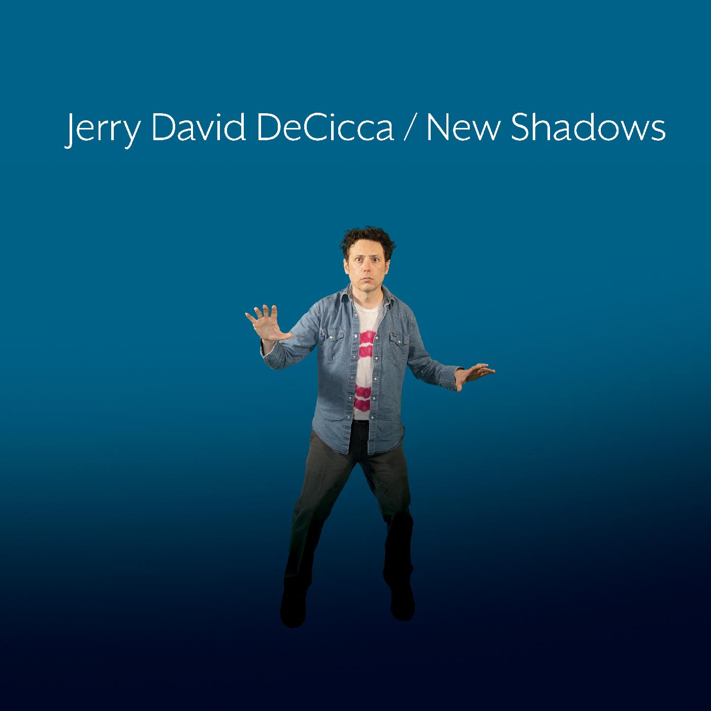 Jerry David Decicca - New Shadows (Vinyl) - Joco Records