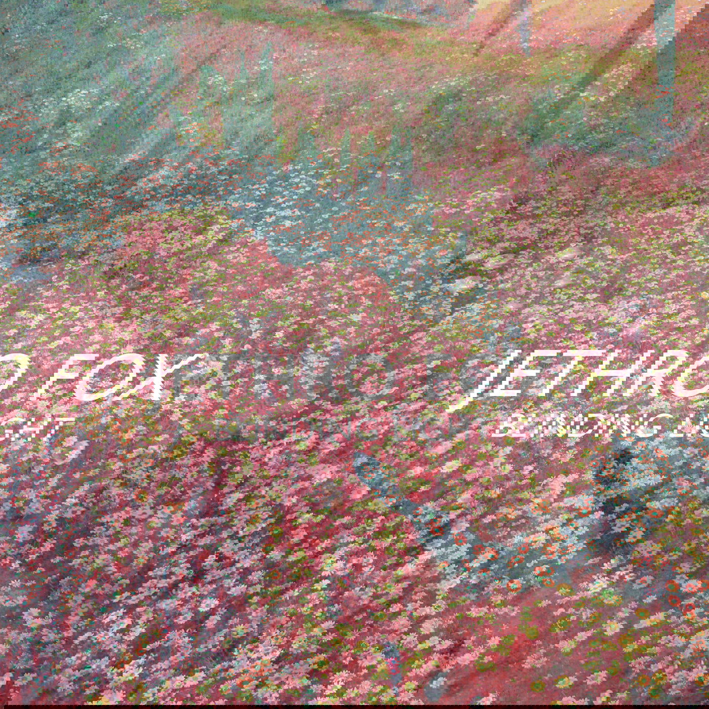 Jethro Fox - Blinding Light (Vinyl) - Joco Records