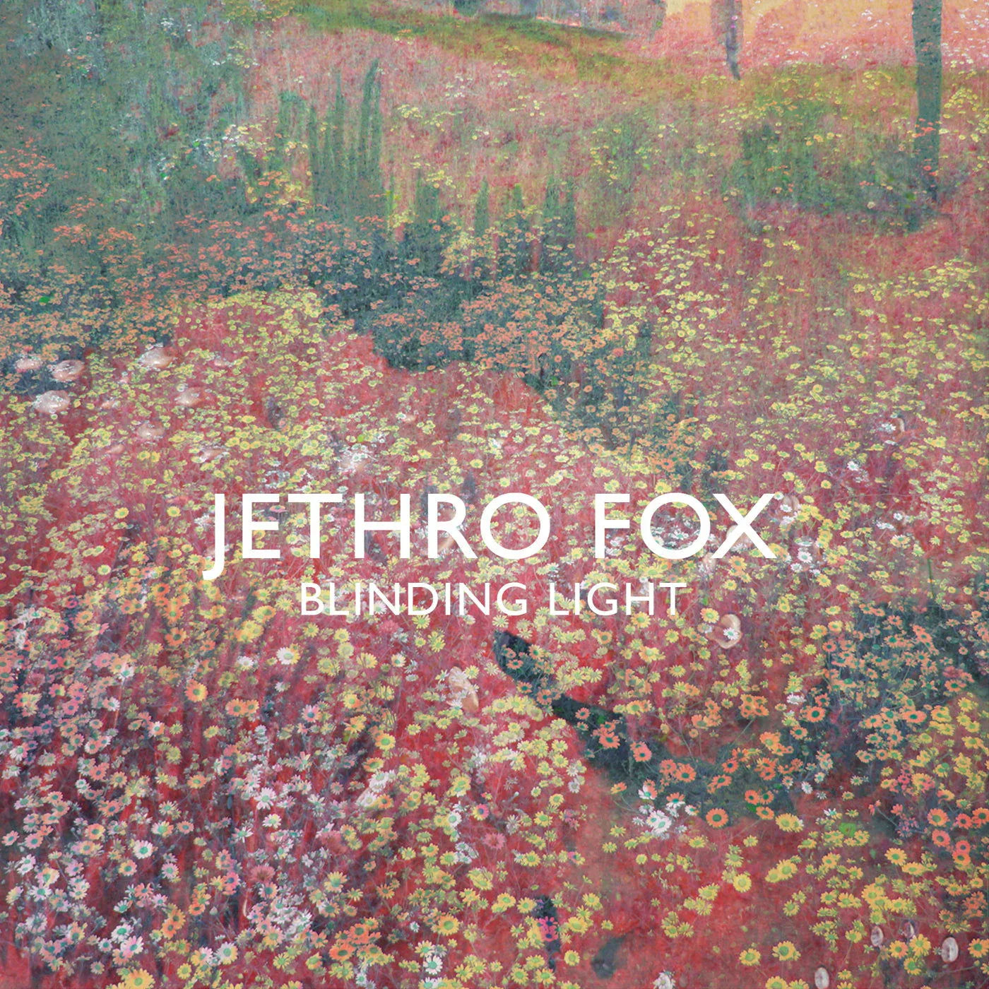 Jethro Fox - Blinding Light (Vinyl) - Joco Records